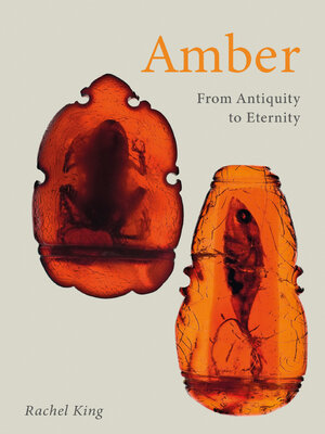 Amber - ebook